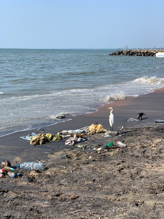 Un'esperienza di volontariato in Sri Lanka