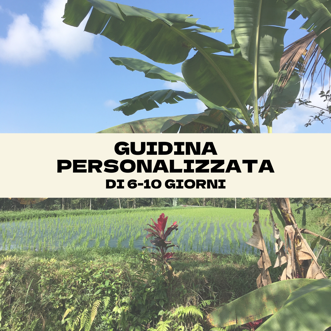 Guidina Personalizzata 6-10 Giorni